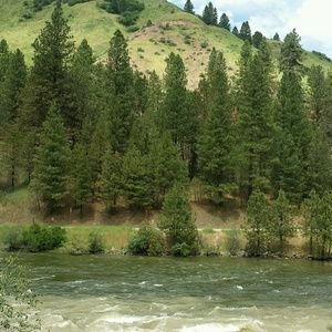 Meet your Posher, Debbie